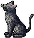 Jayfeather