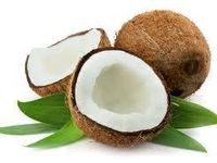 Coconut