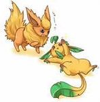 FlareonXLeafeon