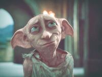 Dobby