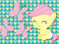 fluttershy