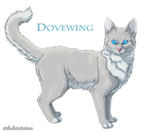 Dovewing