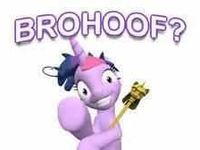 brohoof