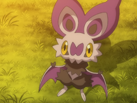 Noibat