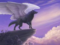 Angel Wolf