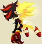 super sonic huging shadow