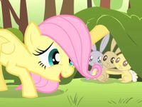 Fluttershy