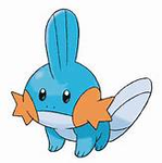 Mudkip