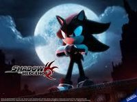 Shadow The Hedgehog (Lucinda: MY FAVORITE hehe)