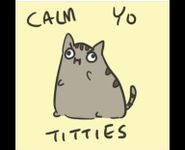 Calm yo tits bruh