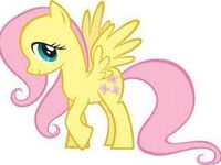 Flutter shy