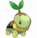 Turtwig