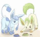 GlaceonXLeafeon