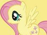 Fluttershy