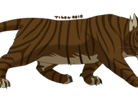 Tigerstar