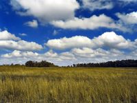 Cumulus