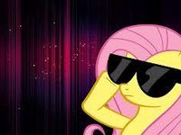 Fluttershy #2