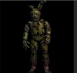 Spring trap