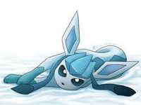 glaceon