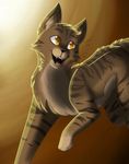 Brambleclaw?