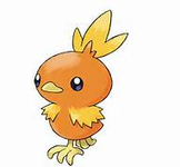 Torchic