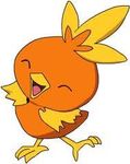 Torchic