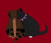 Scourge x Tigerstar