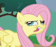 Fluttershy