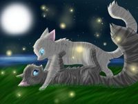 Half moon and Jayfeather