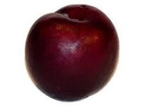 Plum