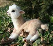 Llama baby