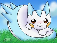 Pachirisu