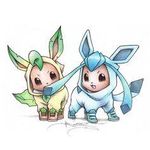 Eevee Duo