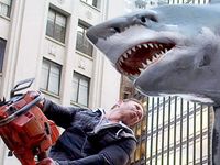 Sharknado