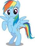 rainbow dash