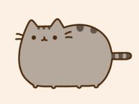 Pusheen Cat