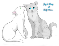 Jay moon (Jayfeather+Half moon)