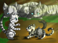 Jayshine (Jayfeather+Willowshine)