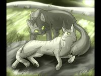 Silverstripe (Silverstream+Graystripe)