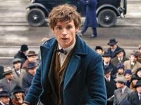 Newt Scamander (Fantastic Beasts and Where to Find Them)