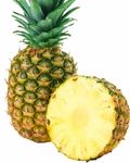 Pineapple