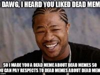 Memes about dead memes.WAIT... meme-ception!