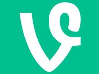 Vine