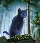 Bluestar