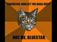 Tigerstar lies