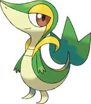 Snivy