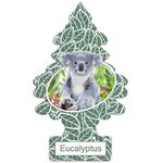 Eucalyptus