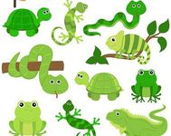 Fish/Amphibian/Reptile