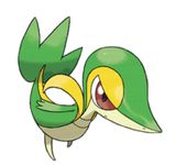 Snivy