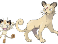 Meowth/Persian